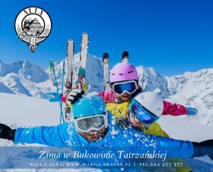 ad-banner