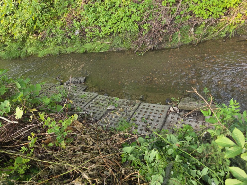 Na Konwaliowej modlą się o suszę