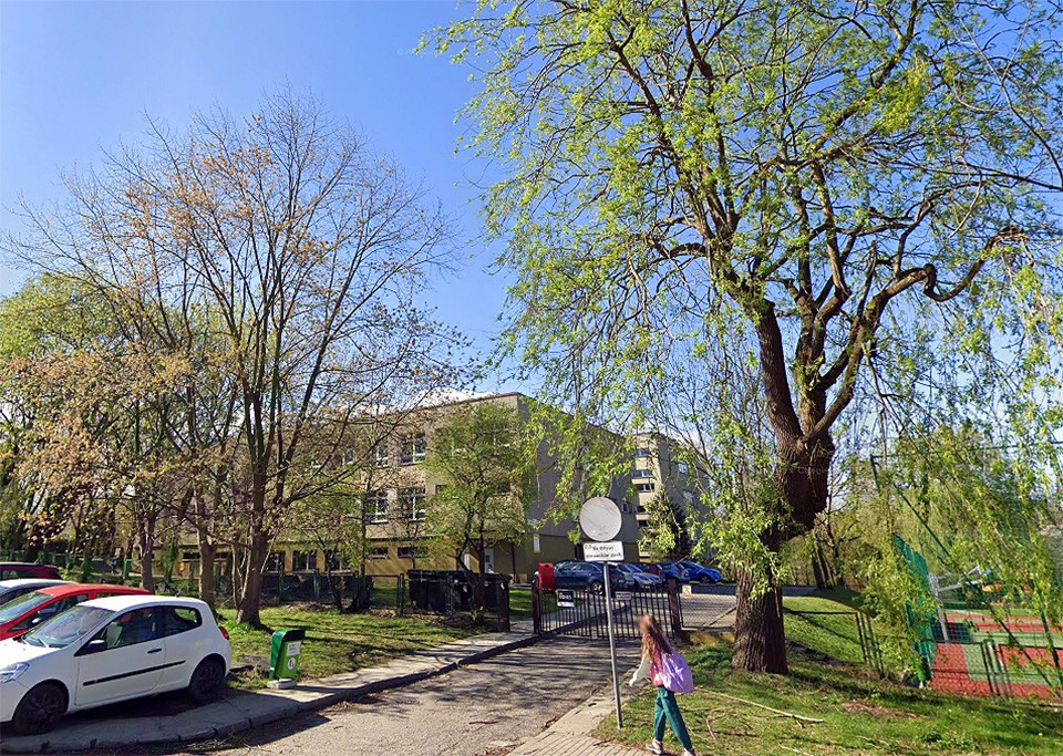 Czy dyrektor szkoły niszczy zieleń?