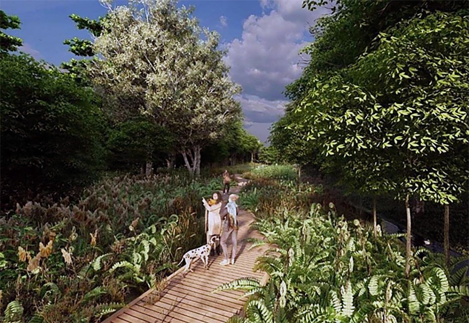 Park Skarżyńskiego: bardziej zielono i pożytecznie