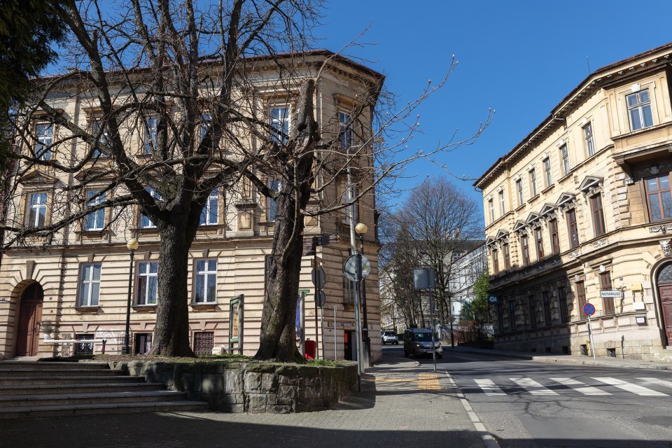 Kasztanowiec pozostał