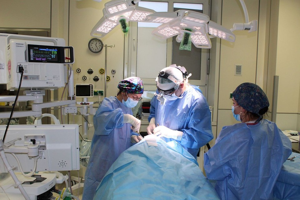 Rekordowy Pediatryk