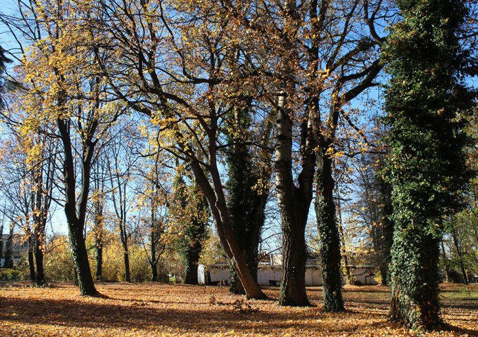 Szpitalny park do odnowy