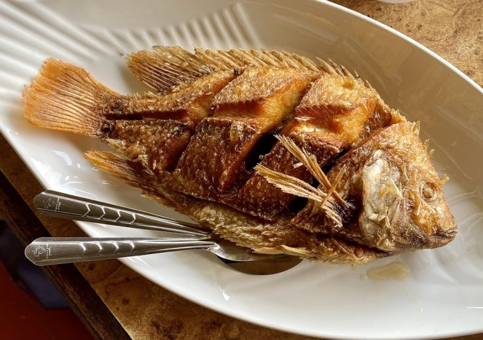 Nie tylko karp
