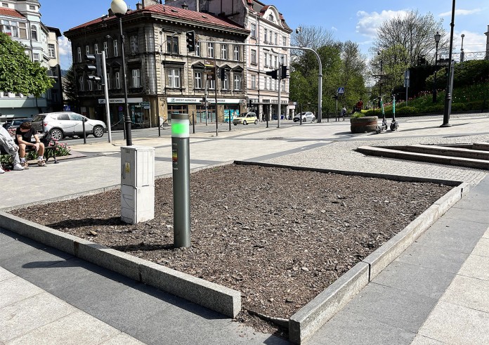 Z Placu Chrobrego zniknął krzew magnolii