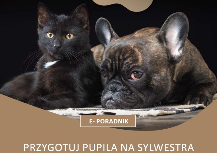 Sylwestrowy poradnik dla właścicieli zwierząt