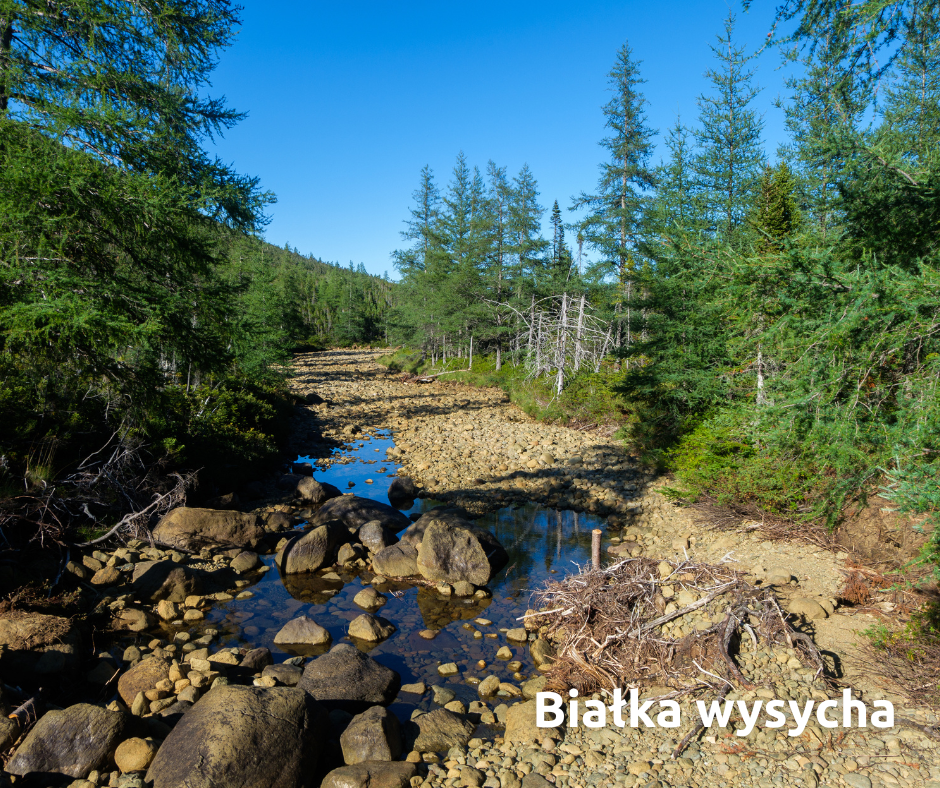 Woda w Białce poniżej minimum! [aktualizacja]