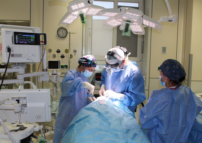 Rekordowy Pediatryk