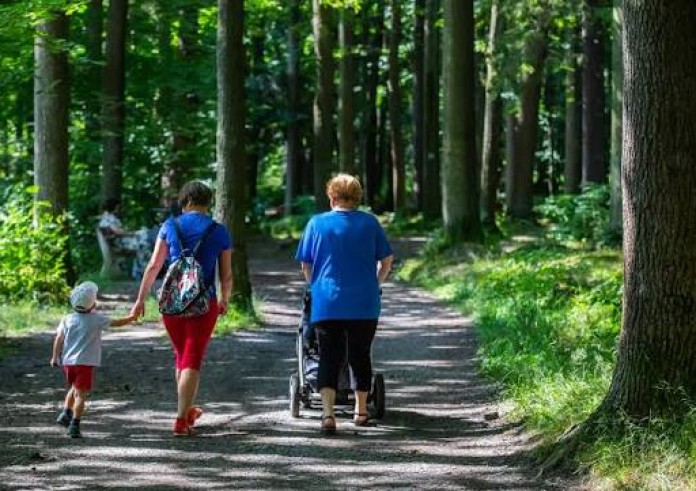 Lasy społeczne wokół Bielska-Białej - teraz czas na kolejny krok