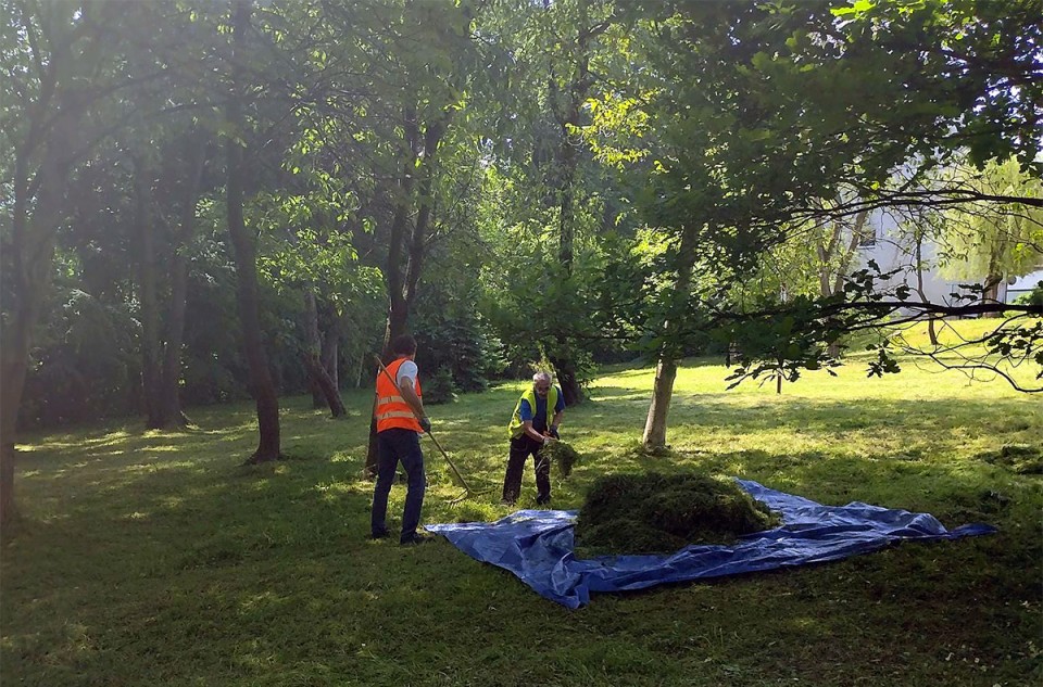 Spółdzielnia Synergia zadba o porządek