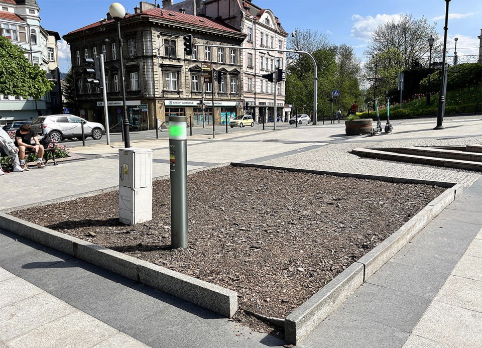 Z Placu Chrobrego zniknął krzew magnolii