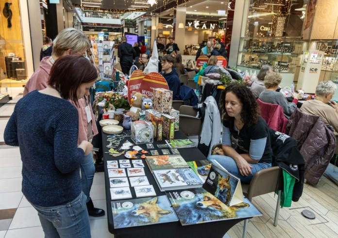 Piknik Organizacji Pozarządowych