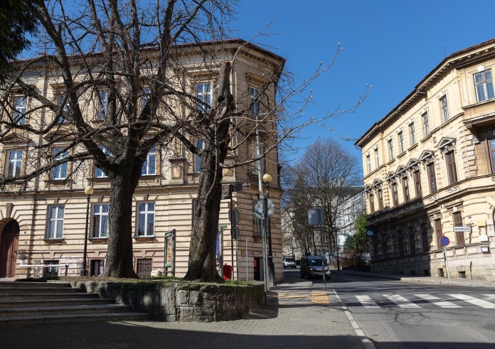 Kasztanowiec pozostał