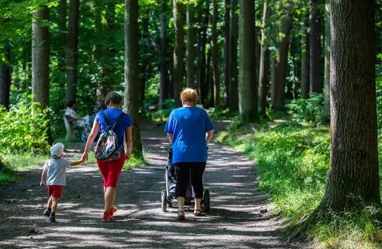 Lasy społeczne wokół Bielska-Białej - teraz czas na kolejny krok